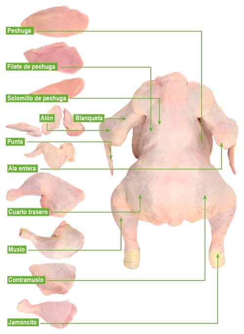 Know all the parts of the chicken